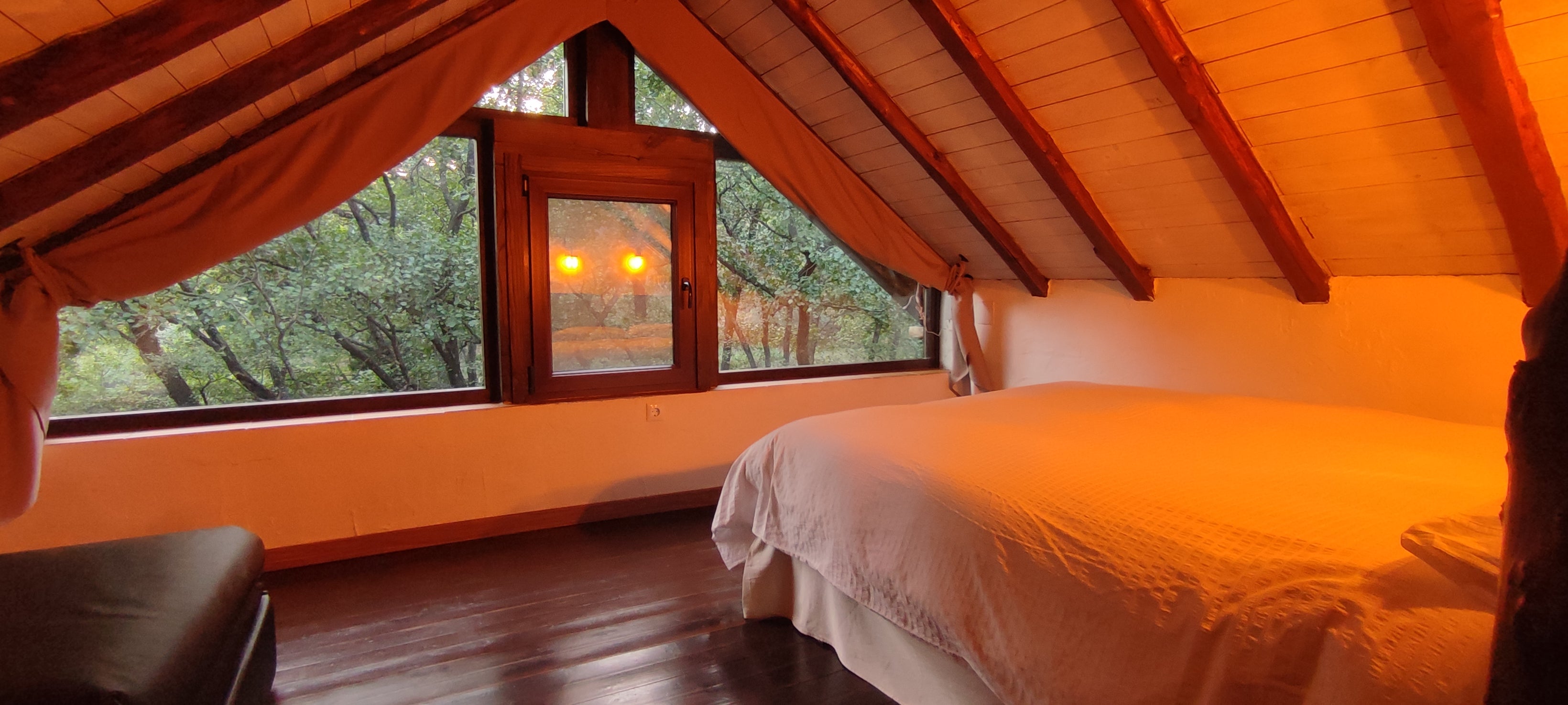 Druir Cabin