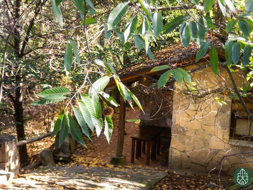 Cabaña Muin